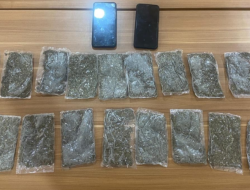 Polisi Amankan Narkoba Jenis Ganja dari Jayapura