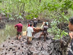 Sempat Dilaporkan Hilang, Warga Desa Gitaraja Ditemukan Meninggal Dunia Di Dalam Hutan Mangrove